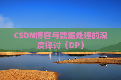 CSDN博客与数据处理的深度探讨（DP）